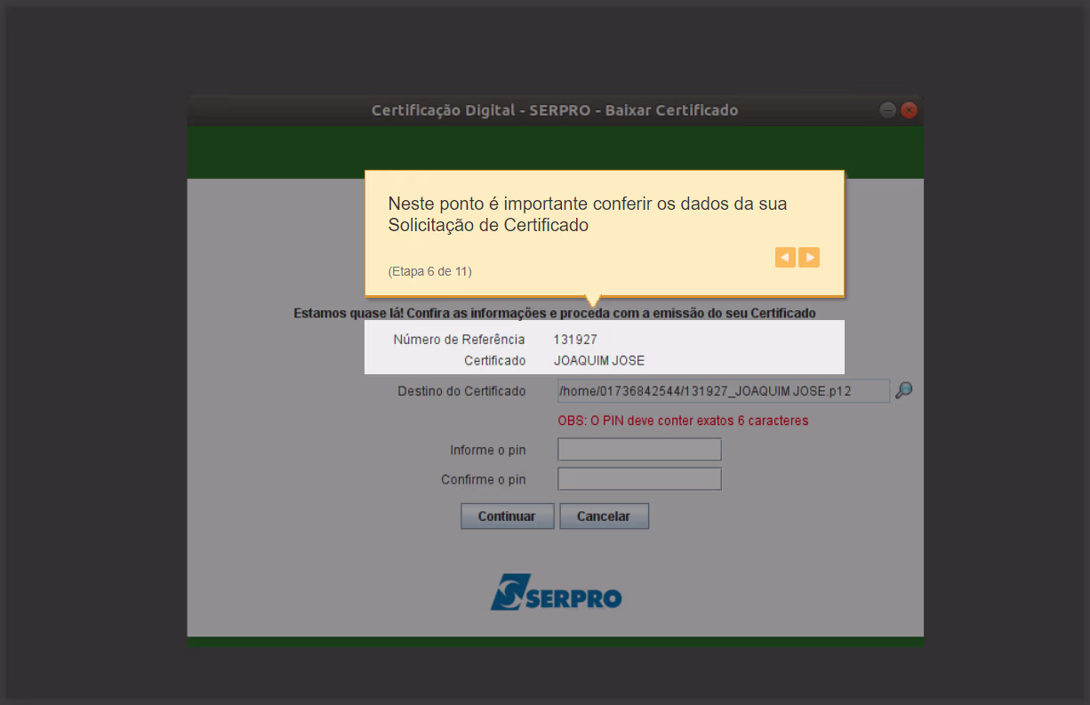 Como Emitir (Baixar e Instalar) Certificado A3 SERPRO - Conferir os dados da solicitação de certificado