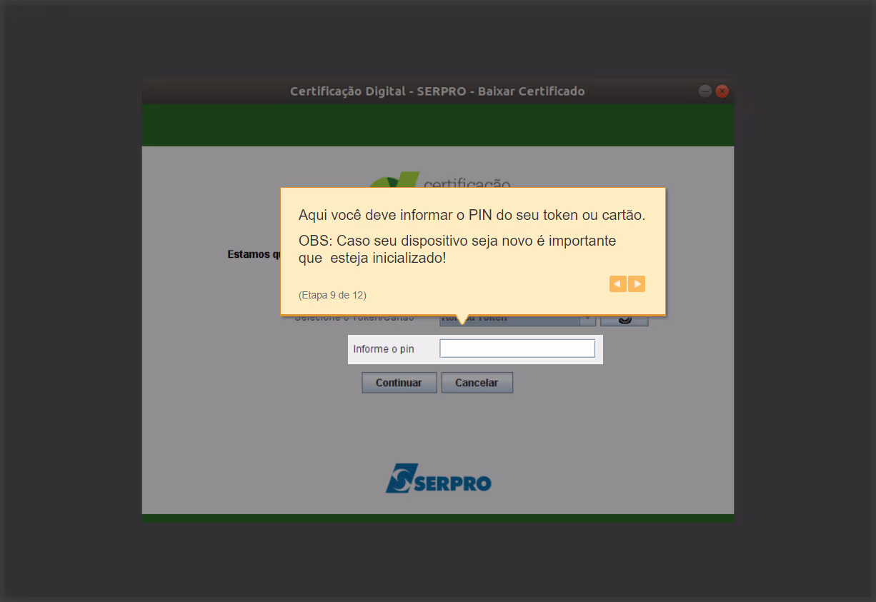 Como Emitir (Baixar e Instalar) Certificado A3 SERPRO - PIN do Token ou Cartão
