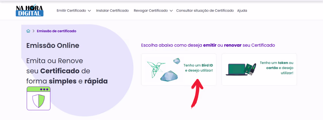 Emissão Online Utilizando o Bird ID
