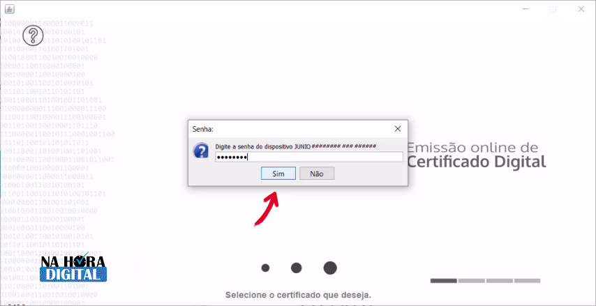 Emissão Online Utilizando Token ou Cartão - Senha A3
