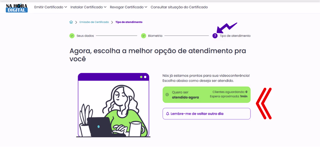 Atendimento Vline Soluti - Escolher opção de atendimento