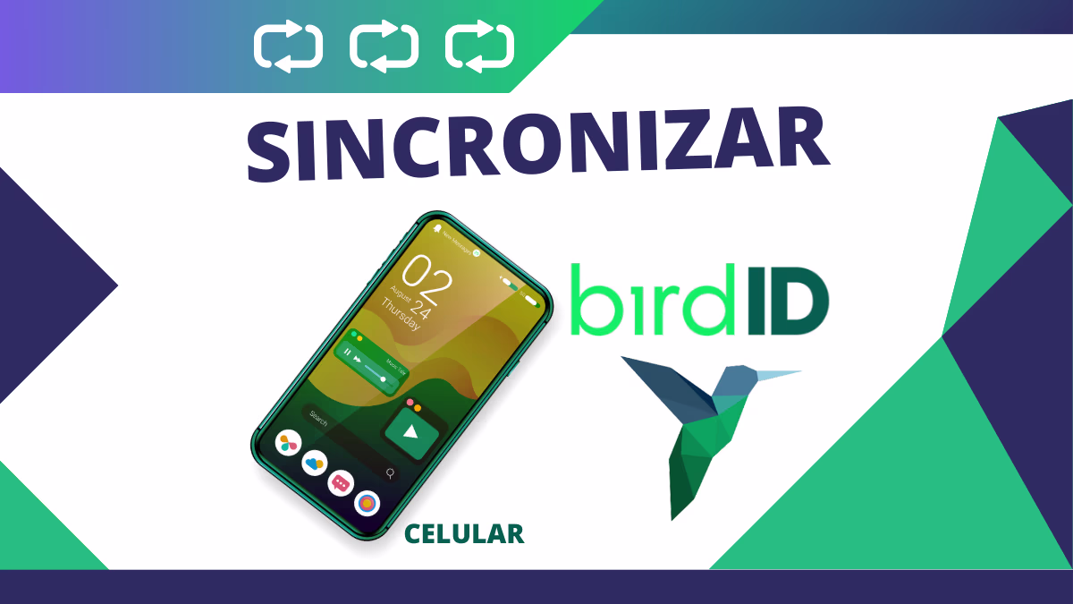 como sincronizar bird id pelo celular