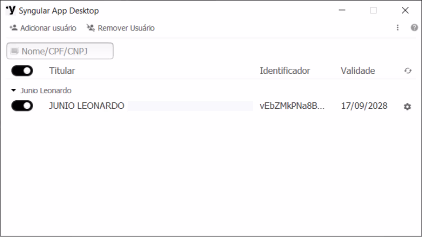 exemplo de tela no syngular app desktop