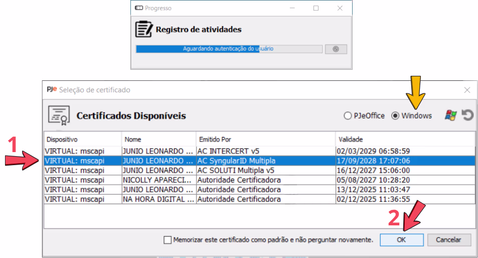 selecionando o certificado syn id no site do tribunal desejado