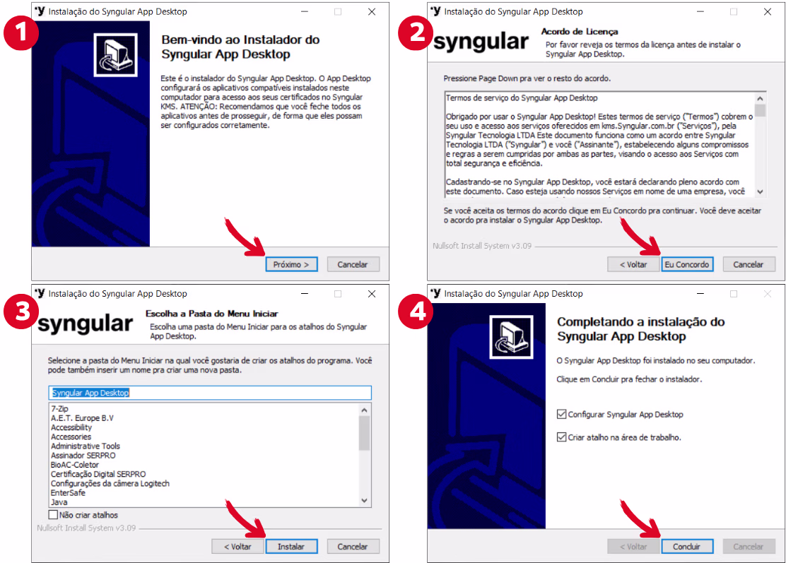 telas de instalacao do syngular app desktop